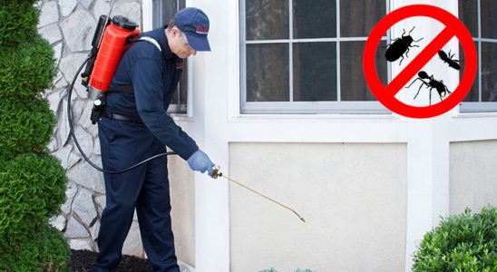 Pınarbaşı Gümüşkurt İlaçlama böcek ilaçlama ve haşere kontrolü — ilaclama-tr.com